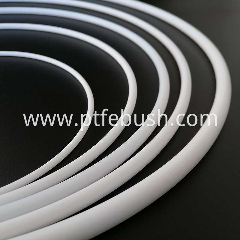 Ptfe O Ring 13